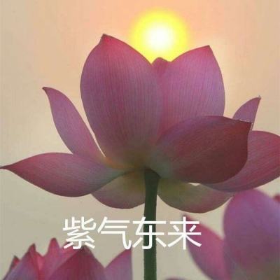 玄天九剑手游下载